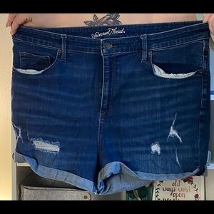 Plus Size Jean Shorts - Universal Thread - 20W